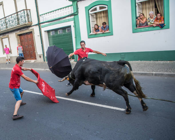 tourada à corda